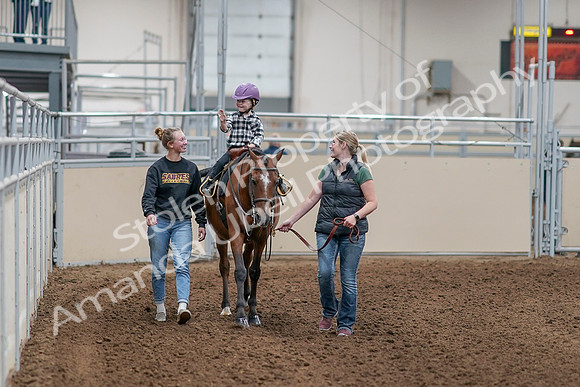 2020 - AB Morgan Horse - Sat, Sept 05 - 10066