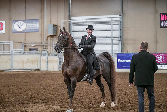 Spring Fling - Saturday - April 20, 2019  -  03633