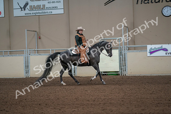 2019 Morgan Horse Show - Aug 31, 2019 - 06160