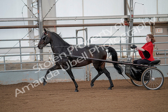July 20, 2019 - 00138