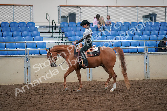 2019 Morgan Horse Show - Aug 30, 2019 - 16728