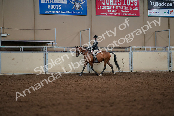2019 Morgan Horse Show - Aug 30, 2019 - 23270