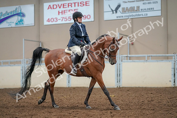 2019 Morgan Horse Show - Aug 30, 2019 - 22549