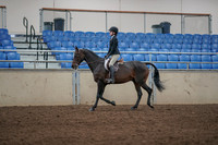 2019 Morgan Horse Show - Aug 31, 2019 - 06305