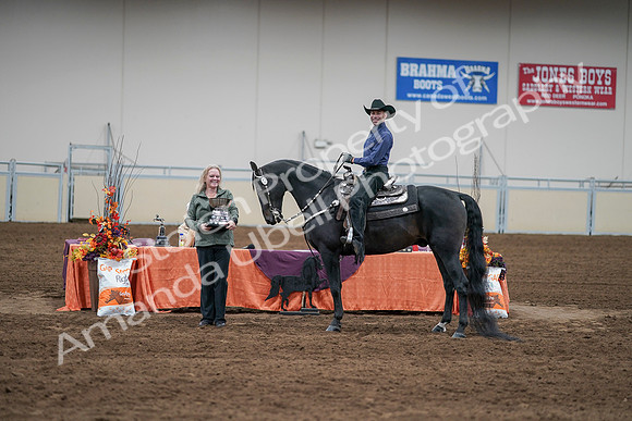 2020 - AB Morgan Horse - Sun, Sept 06 - 07633