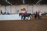 2019 Morgan Horse Show - Aug 31, 2019 - 18881