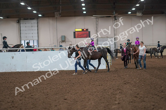 2019 Morgan Horse Show - Aug 31, 2019 - 18881