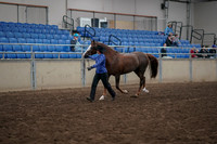 2019 Morgan Horse Show - Aug 31, 2019 - 02906