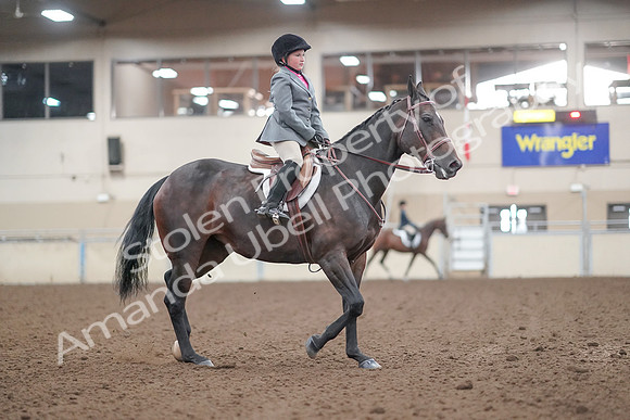 2019 Morgan Horse Show - Aug 31, 2019 - 19646
