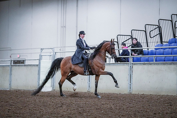 Spring Fling - Saturday - April 20, 2019  -  00756