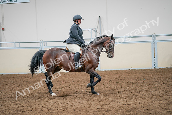 2020 - AB Morgan Horse - Sat, Sept 05 - 14555