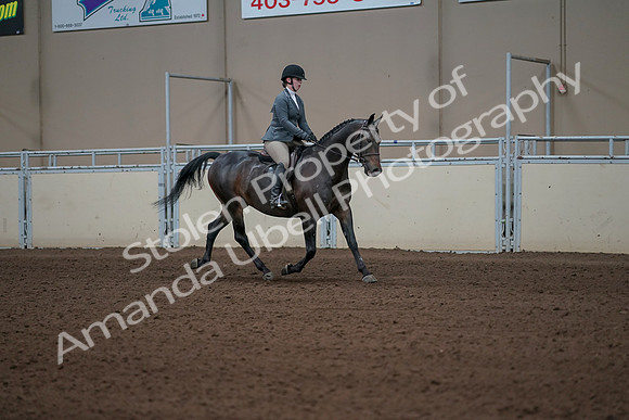 2019 Morgan Horse Show - Sept 01, 2019 - 11043