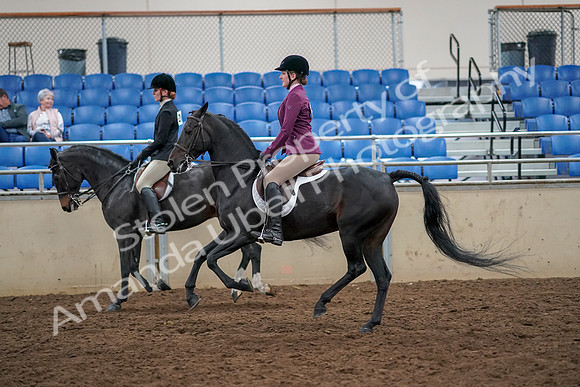 2019 Morgan Horse Show - Aug 30, 2019 - 23432