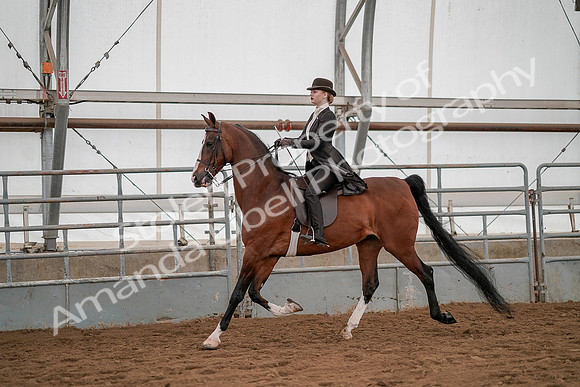 July 19, 2019 - 4234