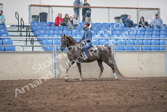 2019 Morgan Horse Show - Aug 31, 2019 - 21385