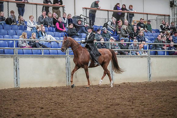 Spring Fling - Saturday - April 20, 2019  -  04309