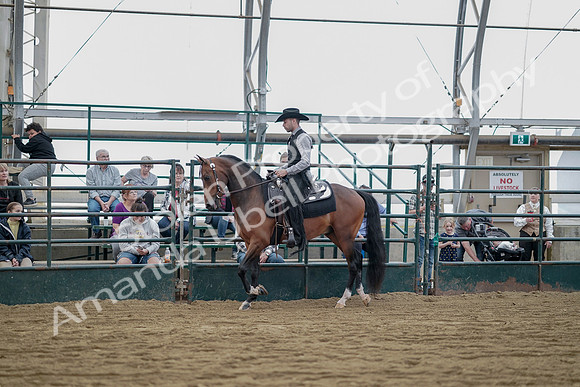 July 21, 2019 - 06556