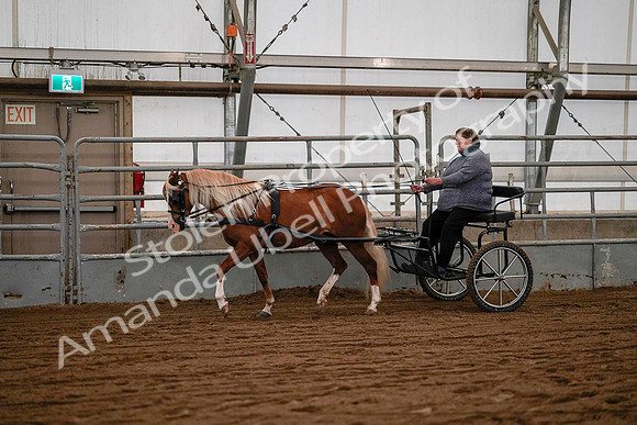 July 19, 2019 - 7057