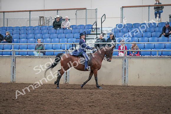2019 Morgan Horse Show - Aug 31, 2019 - 09683