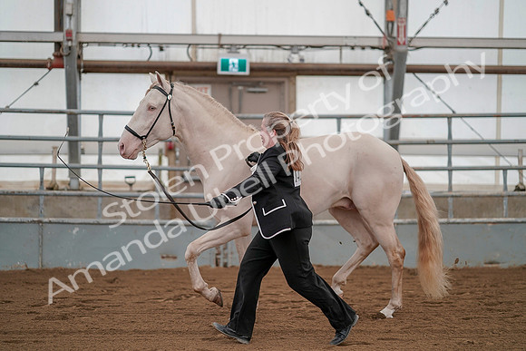 July 19, 2019 - 1339