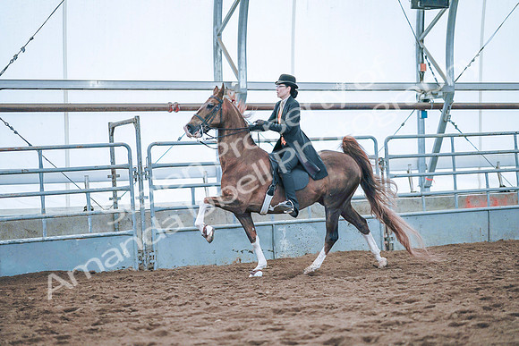 July 20, 2019 - 24035
