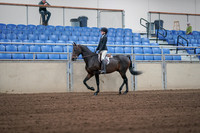 2019 Morgan Horse Show - Sept 01, 2019 - 03646