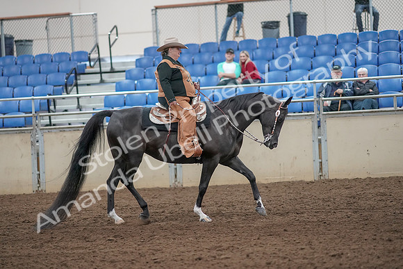 2019 Morgan Horse Show - Aug 31, 2019 - 06212
