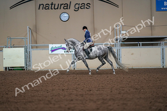 2019 Morgan Horse Show - Aug 30, 2019 - 16147