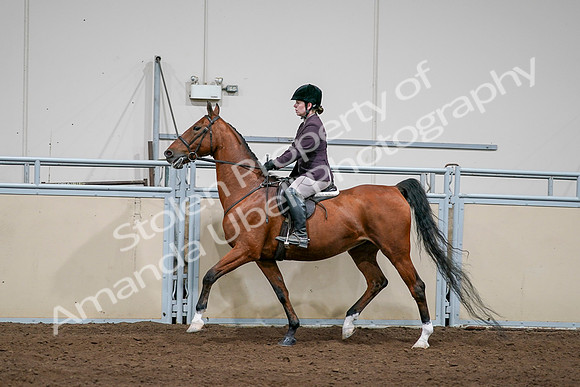 2020 - AB Morgan Horse - Sat, Sept 05 - 03057