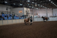 2019 Morgan Horse Show - Aug 31, 2019 - 01486
