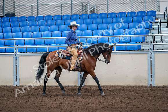 2020 - AB Morgan Horse - Fri, Sept 04 - 00198