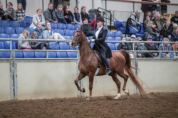 Spring Fling - Saturday - April 20, 2019  -  04410