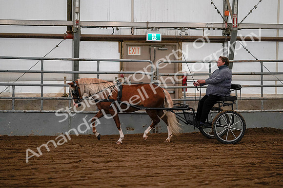 July 19, 2019 - 7074