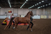 2019 Morgan Horse Show - Aug 31, 2019 - 01035