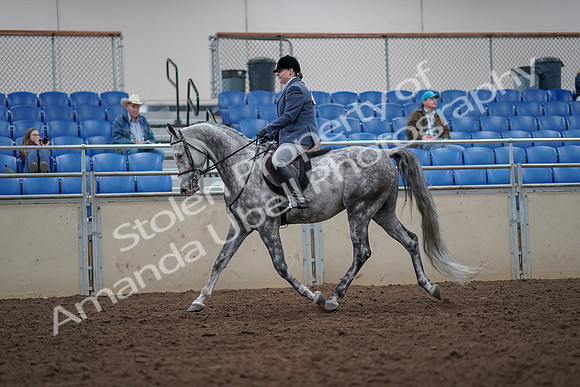 2019 Morgan Horse Show - Aug 31, 2019 - 14775