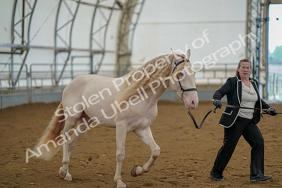 July 19, 2019 - 1154