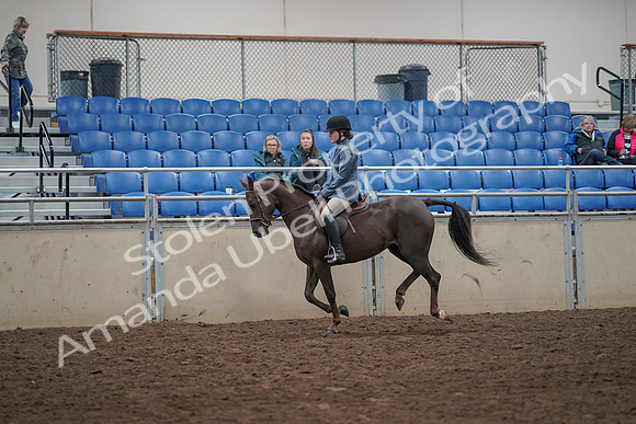 2019 Morgan Horse Show - Aug 31, 2019 - 07334