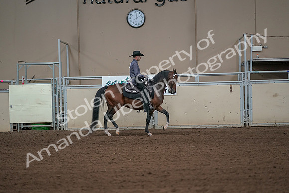 2019 Morgan Horse Show - Aug 31, 2019 - 06179