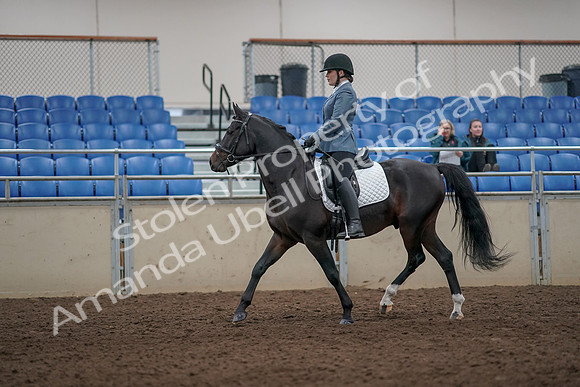 2019 Morgan Horse Show - Aug 31, 2019 - 07167