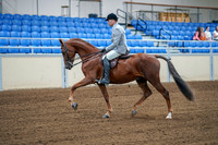 2020 - AB Morgan Horse - Fri, Sept 04 - 01475