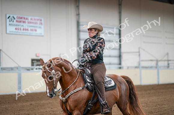 2020 - AB Morgan Horse - Fri, Sept 04 - 08510
