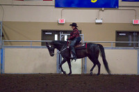 Class 113 - Morgan Western Pleasure, Amateur Rider
