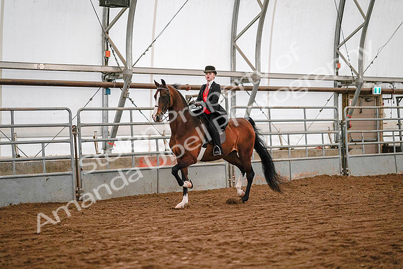 July 19, 2019 - 8706