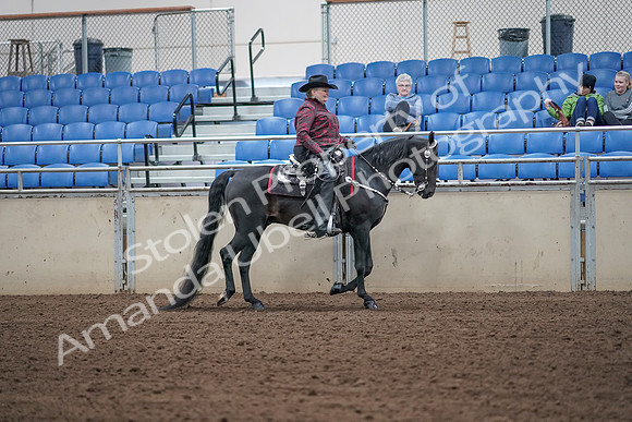 2019 Morgan Horse Show - Aug 31, 2019 - 10752