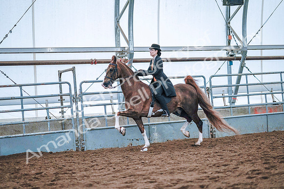 July 20, 2019 - 23826