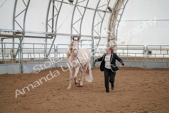 July 19, 2019 - 1127
