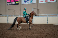 2019 Morgan Horse Show - Aug 30, 2019 - 30631