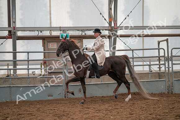 July 19, 2019 - 12848