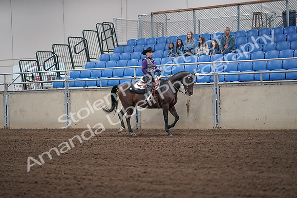 2019 Morgan Horse Show - Aug 31, 2019 - 10771