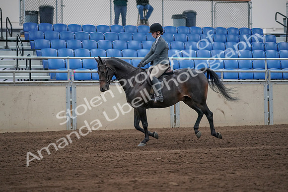 2019 Morgan Horse Show - Sept 01, 2019 - 10961